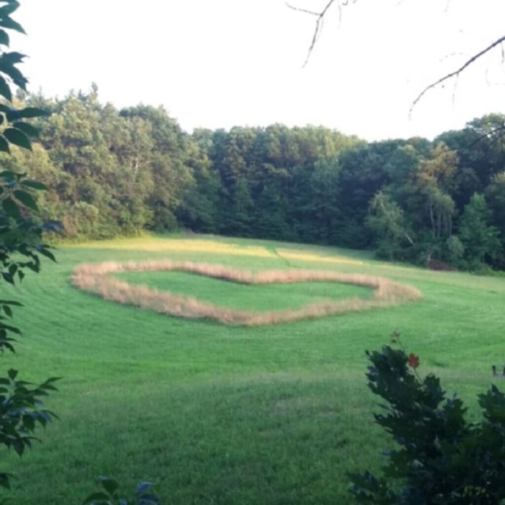 Open field with uncut grass in the shape of a heart.